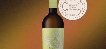 PÉ DE GANSO RESERVA BRANCO: O MELHOR VINHO BRANCO DA BAIRRADA 2025